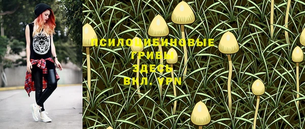 первитин Каменногорск