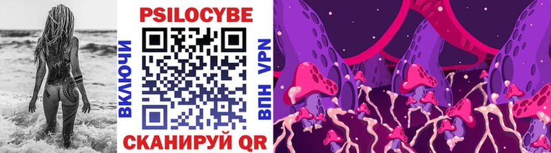 Псилоцибиновые грибы Cubensis  Купить  Солигалич 